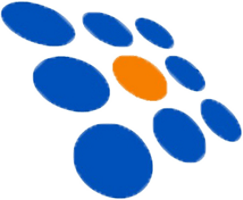 NOVITUS – Technologia na co dzień